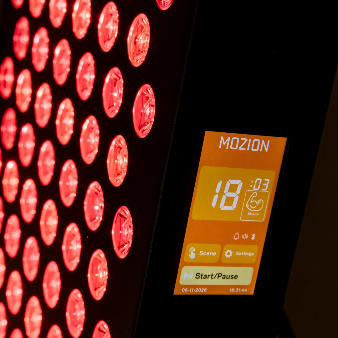 Mozion Panel Eight Waves 1600