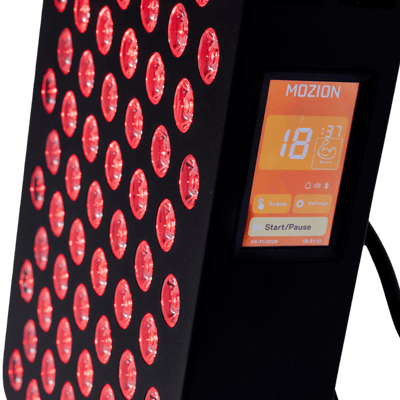 Mozion Panel